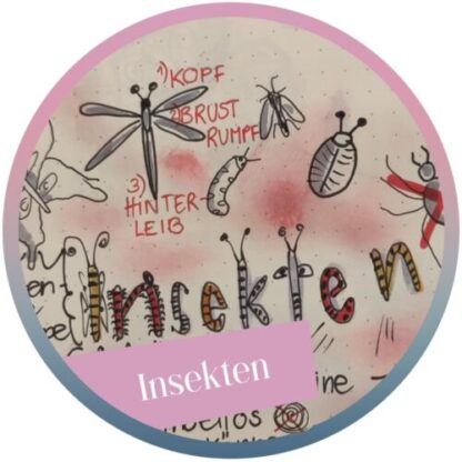 Kritzel-Spass "Insekten" - Die Aufzeichnung 2024